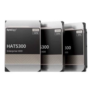Synology HAT5300 12TB HDD