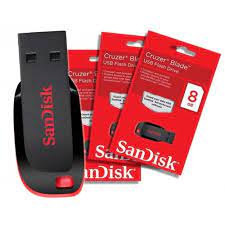 8GB SanDisk Flash Drive
